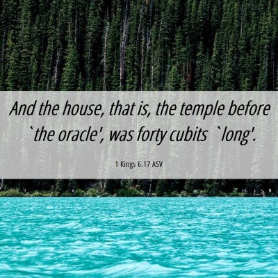 Picture 06 - 1 Kings 6:17 ASV - And the house, that is, the temple before `the - Bible Verse Picture