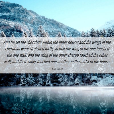 Picture 06 - 1 Kings 6:27 ASV - And he set the cherubim within the inner house; - Bible Verse Picture