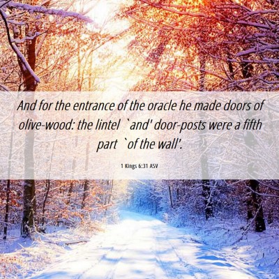 Picture 06 - 1 Kings 6:31 ASV - And for the entrance of the oracle he made doors - Bible Verse Picture
