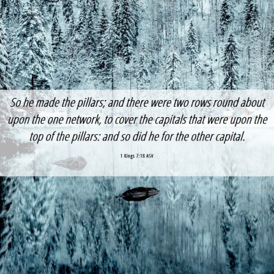 Picture 06 - 1 Kings 7:18 ASV - So he made the pillars; and there were two rows - Bible Verse Picture