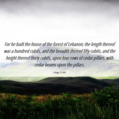 Picture 06 - 1 Kings 7:2 ASV - For he built the house of the forest of Lebanon; - Bible Verse Picture