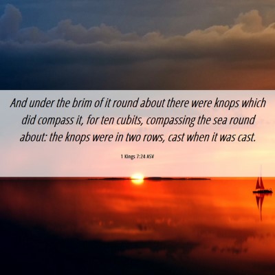 Picture 06 - 1 Kings 7:24 ASV - And under the brim of it round about there were - Bible Verse Picture