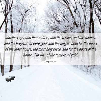 Picture 06 - 1 Kings 7:50 ASV - and the cups, and the snuffers, and the basins, - Bible Verse Picture