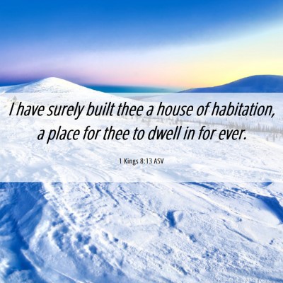 Picture 06 - 1 Kings 8:13 ASV - I have surely built thee a house of habitation, a - Bible Verse Picture