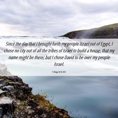 Picture 06 - 1 Kings 8:16 ASV - Since the day that I brought forth my people - Bible Verse Picture