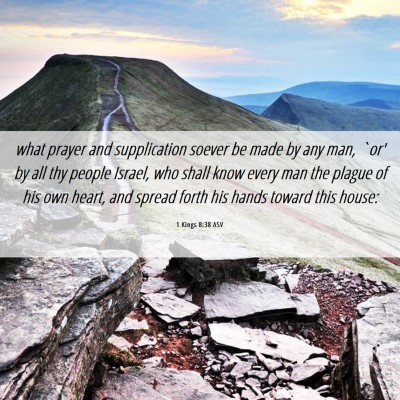 Picture 06 - 1 Kings 8:38 ASV - what prayer and supplication soever be made by - Bible Verse Picture