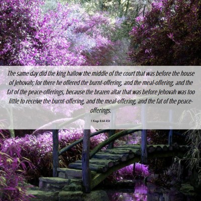 Picture 06 - 1 Kings 8:64 ASV - The same day did the king hallow the middle of - Bible Verse Picture