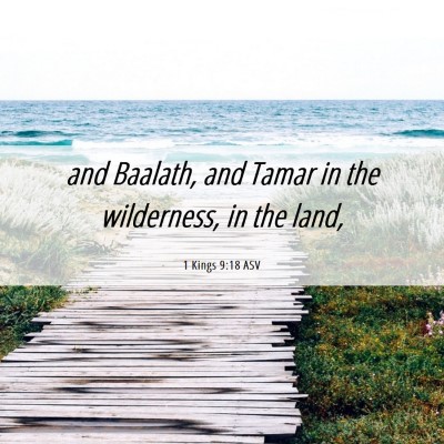 Picture 06 - 1 Kings 9:18 ASV - and Baalath, and Tamar in the wilderness, in the - Bible Verse Picture