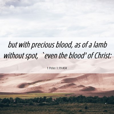 Picture 06 - 1 Peter 1:19 ASV - but with precious blood, as of a lamb without - Bible Verse Picture