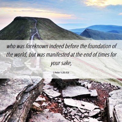 Picture 06 - 1 Peter 1:20 ASV - who was foreknown indeed before the foundation of - Bible Verse Picture