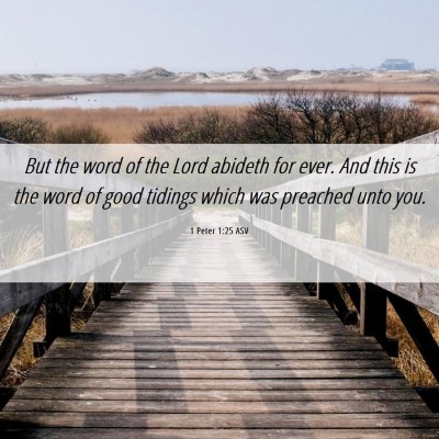 Picture 06 - 1 Peter 1:25 ASV - But the word of the Lord abideth for ever. And - Bible Verse Picture