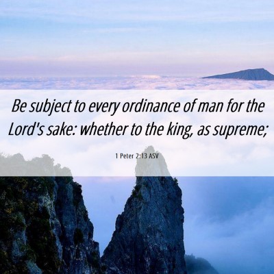 Picture 06 - 1 Peter 2:13 ASV - Be subject to every ordinance of man for the - Bible Verse Picture