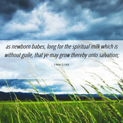 Picture 06 - 1 Peter 2:2 ASV - as newborn babes, long for the spiritual milk - Bible Verse Picture