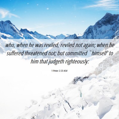 Picture 06 - 1 Peter 2:23 ASV - who, when he was reviled, reviled not again; when - Bible Verse Picture