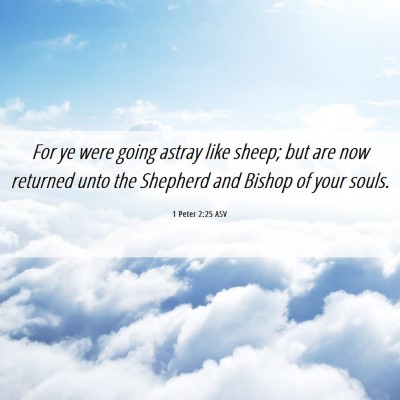 Picture 06 - 1 Peter 2:25 ASV - For ye were going astray like sheep; but are now - Bible Verse Picture
