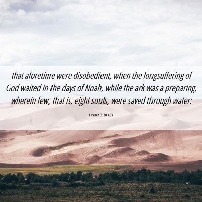 Picture 06 - 1 Peter 3:20 ASV - that aforetime were disobedient, when the - Bible Verse Picture