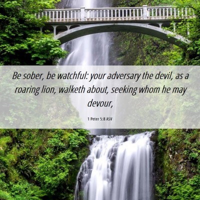 Picture 06 - 1 Peter 5:8 ASV - Be sober, be watchful: your adversary the devil, - Bible Verse Picture