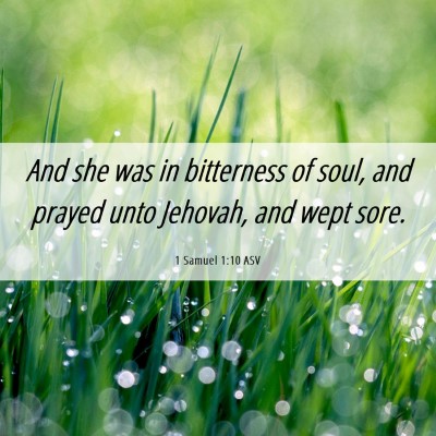 Picture 06 - 1 Samuel 1:10 ASV - And she was in bitterness of soul, and prayed - Bible Verse Picture