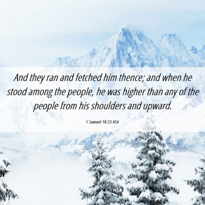Picture 06 - 1 Samuel 10:23 ASV - And they ran and fetched him thence; and when he - Bible Verse Picture