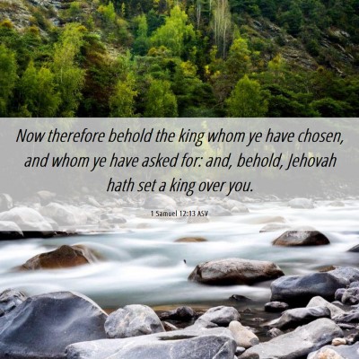 Picture 06 - 1 Samuel 12:13 ASV - Now therefore behold the king whom ye have - Bible Verse Picture