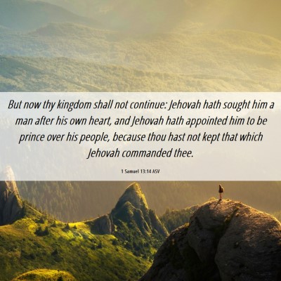 Picture 06 - 1 Samuel 13:14 ASV - But now thy kingdom shall not continue: Jehovah - Bible Verse Picture