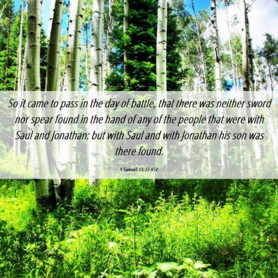 Picture 06 - 1 Samuel 13:22 ASV - So it came to pass in the day of battle, that - Bible Verse Picture