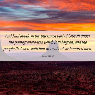 Picture 06 - 1 Samuel 14:2 ASV - And Saul abode in the uttermost part of Gibeah - Bible Verse Picture