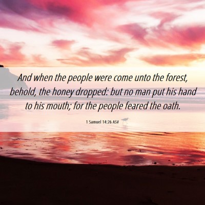 Picture 06 - 1 Samuel 14:26 ASV - And when the people were come unto the forest, - Bible Verse Picture