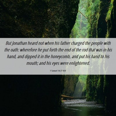Picture 06 - 1 Samuel 14:27 ASV - But Jonathan heard not when his father charged - Bible Verse Picture