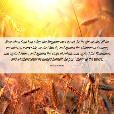 Picture 06 - 1 Samuel 14:47 ASV - Now when Saul had taken the kingdom over Israel, - Bible Verse Picture