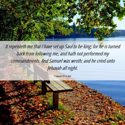 Picture 06 - 1 Samuel 15:11 ASV - It repenteth me that I have set up Saul to be - Bible Verse Picture