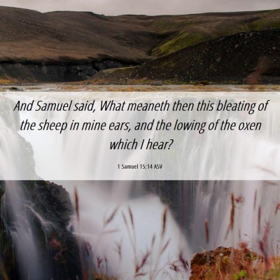Picture 06 - 1 Samuel 15:14 ASV - And Samuel said, What meaneth then this bleating - Bible Verse Picture