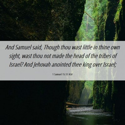 Picture 06 - 1 Samuel 15:17 ASV - And Samuel said, Though thou wast little in thine - Bible Verse Picture