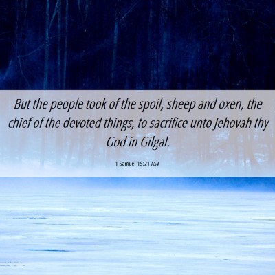 Picture 06 - 1 Samuel 15:21 ASV - But the people took of the spoil, sheep and oxen, - Bible Verse Picture