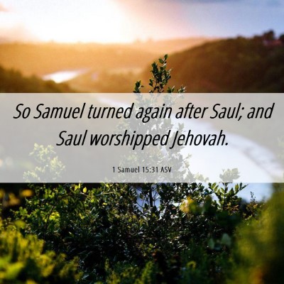 Picture 06 - 1 Samuel 15:31 ASV - So Samuel turned again after Saul; and Saul - Bible Verse Picture