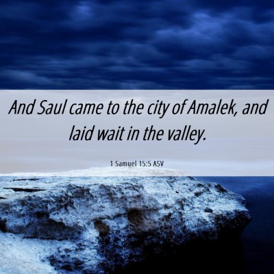 Picture 06 - 1 Samuel 15:5 ASV - And Saul came to the city of Amalek, and laid - Bible Verse Picture