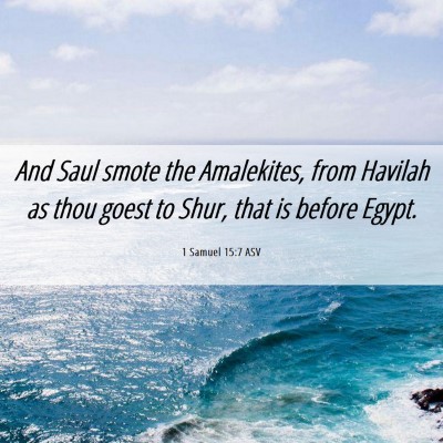 Picture 06 - 1 Samuel 15:7 ASV - And Saul smote the Amalekites, from Havilah as - Bible Verse Picture