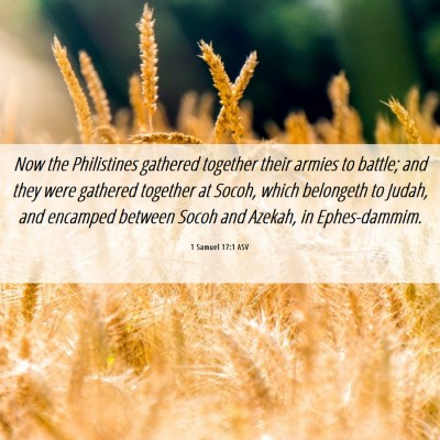 Picture 06 - 1 Samuel 17:1 ASV - Now the Philistines gathered together their - Bible Verse Picture