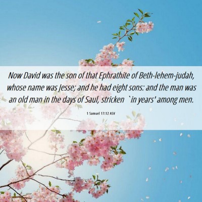Picture 06 - 1 Samuel 17:12 ASV - Now David was the son of that Ephrathite of - Bible Verse Picture