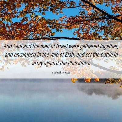 Picture 06 - 1 Samuel 17:2 ASV - And Saul and the men of Israel were gathered - Bible Verse Picture