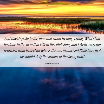 Picture 06 - 1 Samuel 17:26 ASV - And David spake to the men that stood by him, - Bible Verse Picture