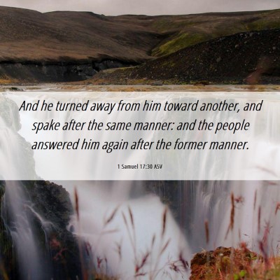 Picture 06 - 1 Samuel 17:30 ASV - And he turned away from him toward another, and - Bible Verse Picture