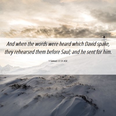 Picture 06 - 1 Samuel 17:31 ASV - And when the words were heard which David spake, - Bible Verse Picture
