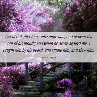 Picture 06 - 1 Samuel 17:35 ASV - I went out after him, and smote him, and - Bible Verse Picture