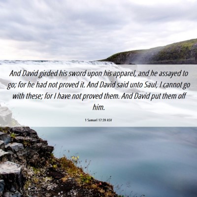Picture 06 - 1 Samuel 17:39 ASV - And David girded his sword upon his apparel, and - Bible Verse Picture