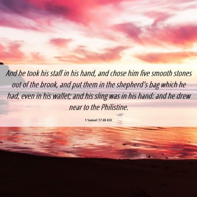 Picture 06 - 1 Samuel 17:40 ASV - And he took his staff in his hand, and chose him - Bible Verse Picture