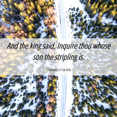 Picture 06 - 1 Samuel 17:56 ASV - And the king said, Inquire thou whose son the - Bible Verse Picture