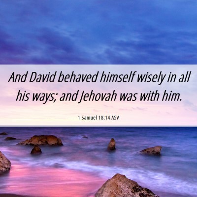 Picture 06 - 1 Samuel 18:14 ASV - And David behaved himself wisely in all his ways; - Bible Verse Picture