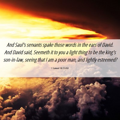 Picture 06 - 1 Samuel 18:23 ASV - And Saul's servants spake those words in the ears - Bible Verse Picture