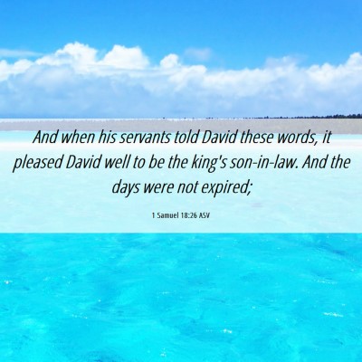 Picture 06 - 1 Samuel 18:26 ASV - And when his servants told David these words, it - Bible Verse Picture